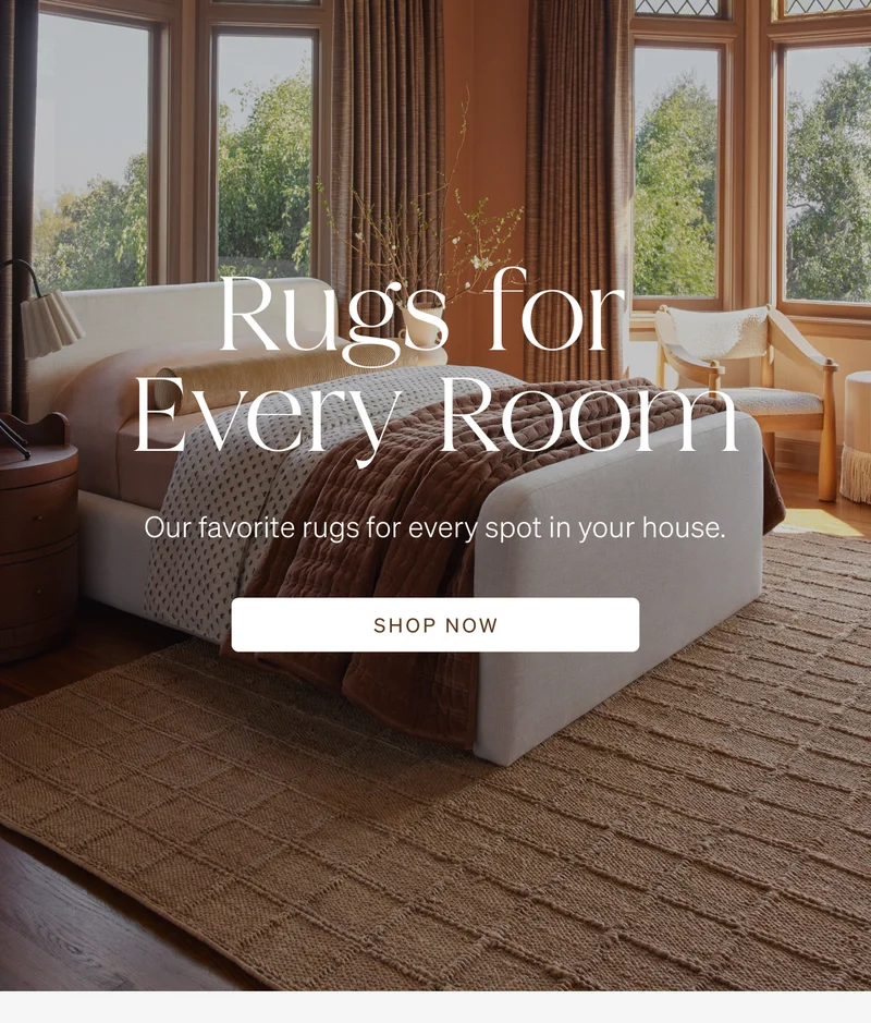 Shop Rugs