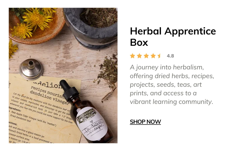 Herbal Apprentice Box