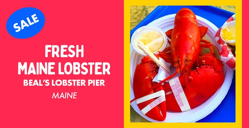 Fresh Maine Lobster