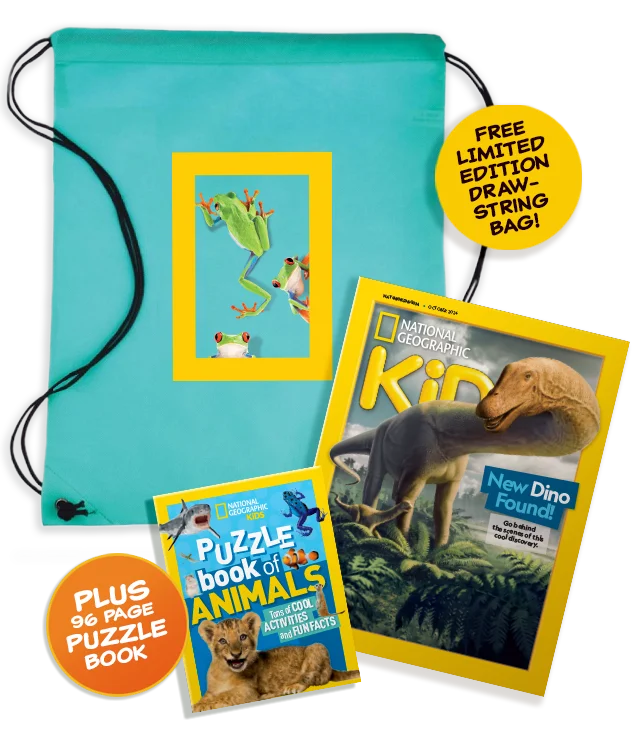 Nat Geo Kids Book Bundle
