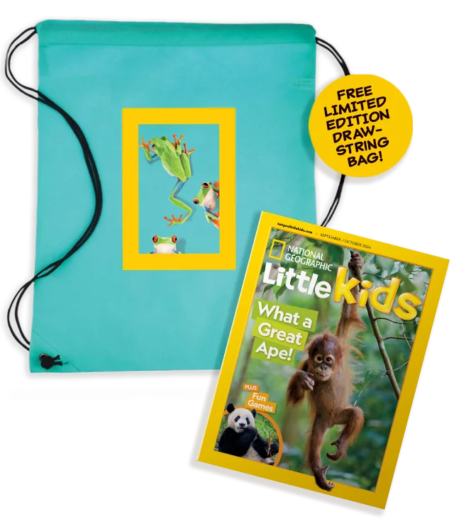 Nat Geo Little Kids Book Bundle