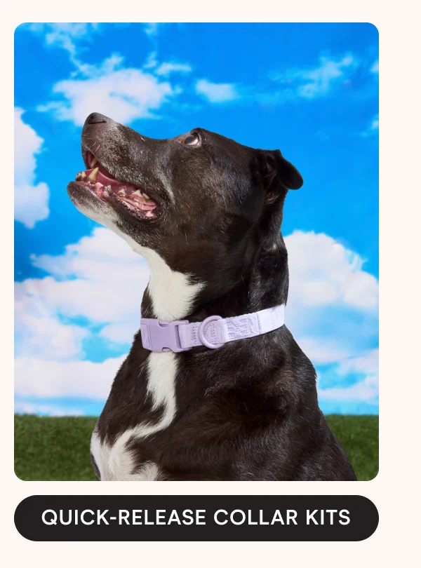 QUICK-RELEASE COLLAR KITS