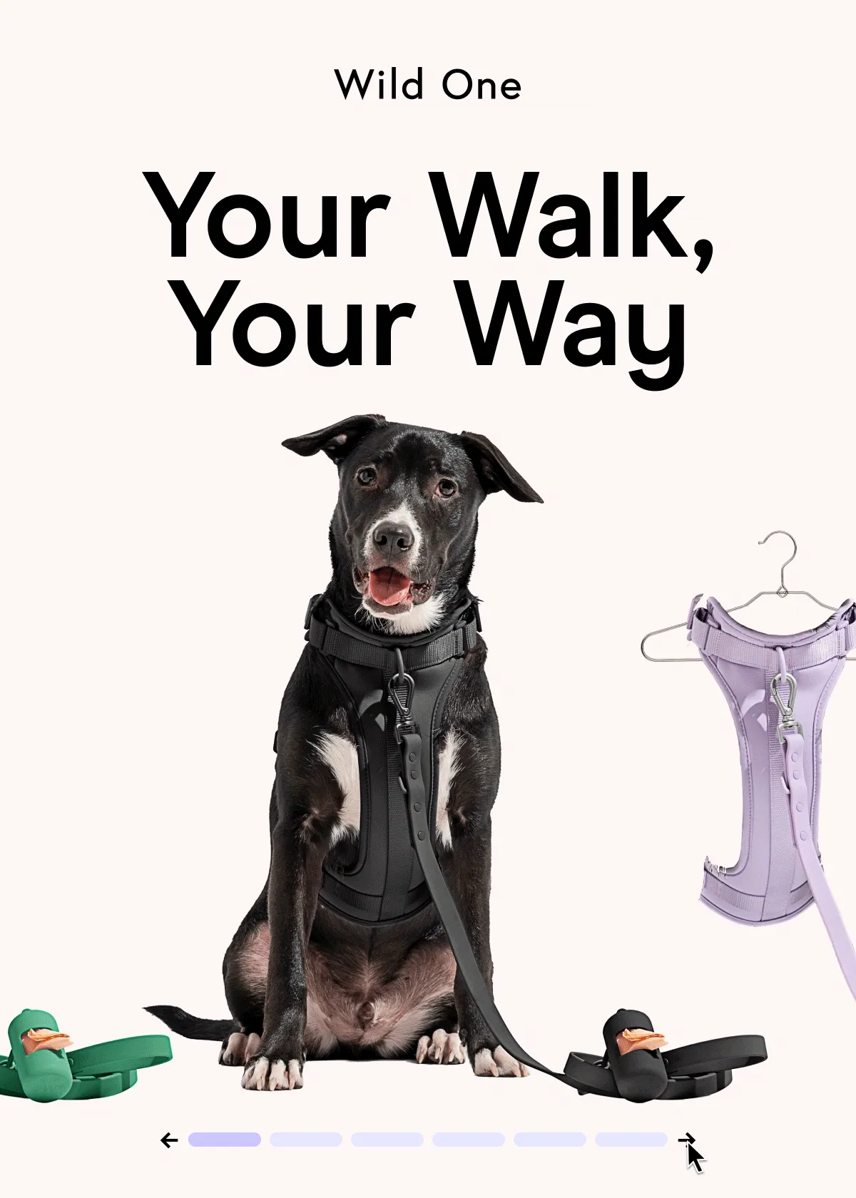 YOUR WALK, YOUR WAY
