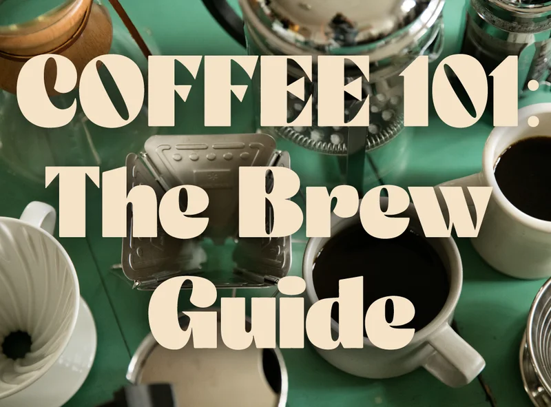 The Brew Guide