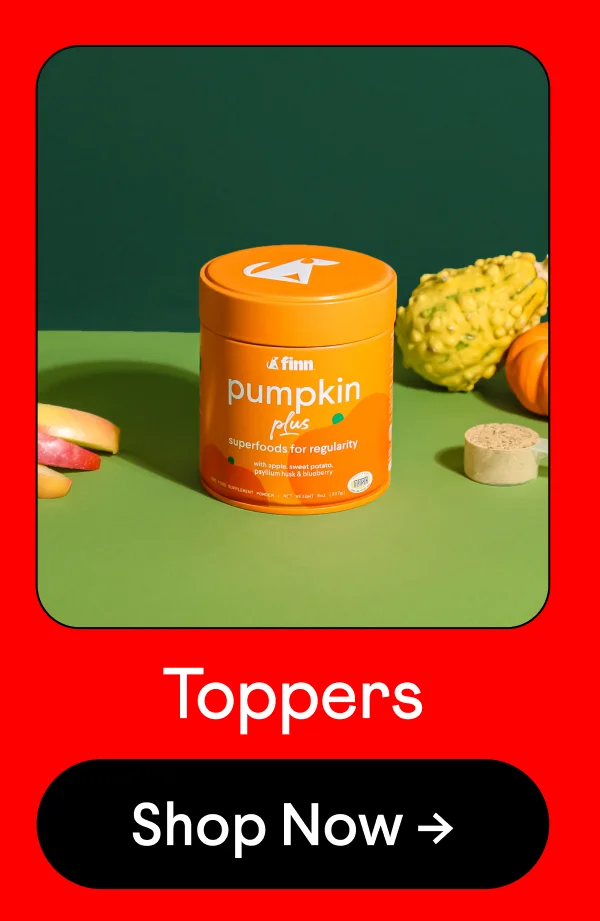 Toppers | Shop Now –>