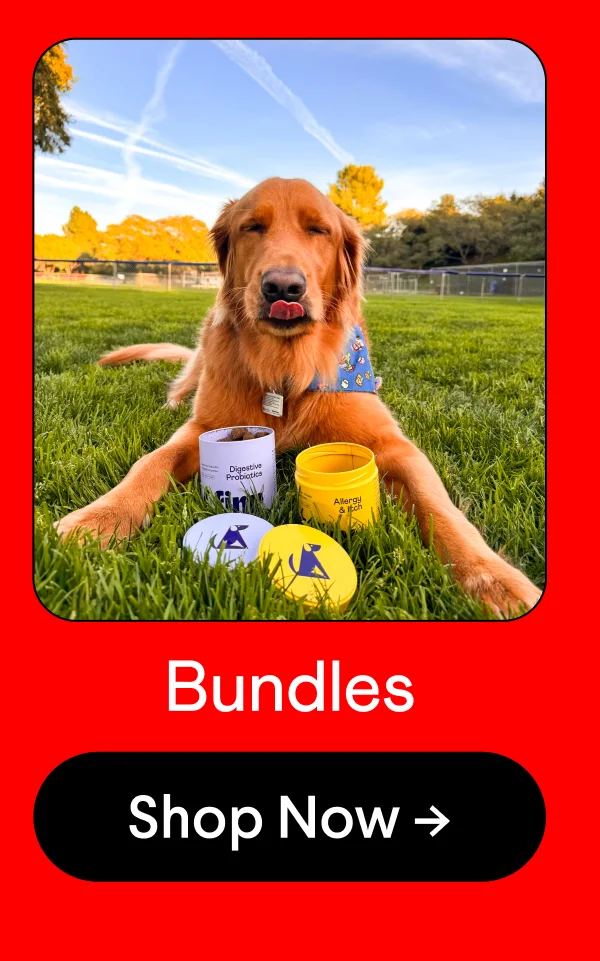 Bundles | Shop Now –>
