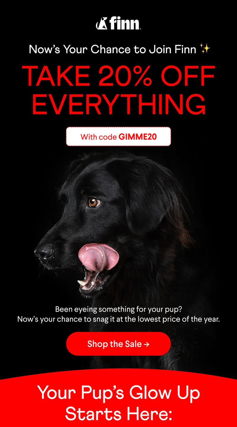 Now's your chance to join Finn! Take 20% off everything with code discount code | Been eyeing something for your pup? Now's your chance to snag it at the lowest price of the year. Shop the Sale!