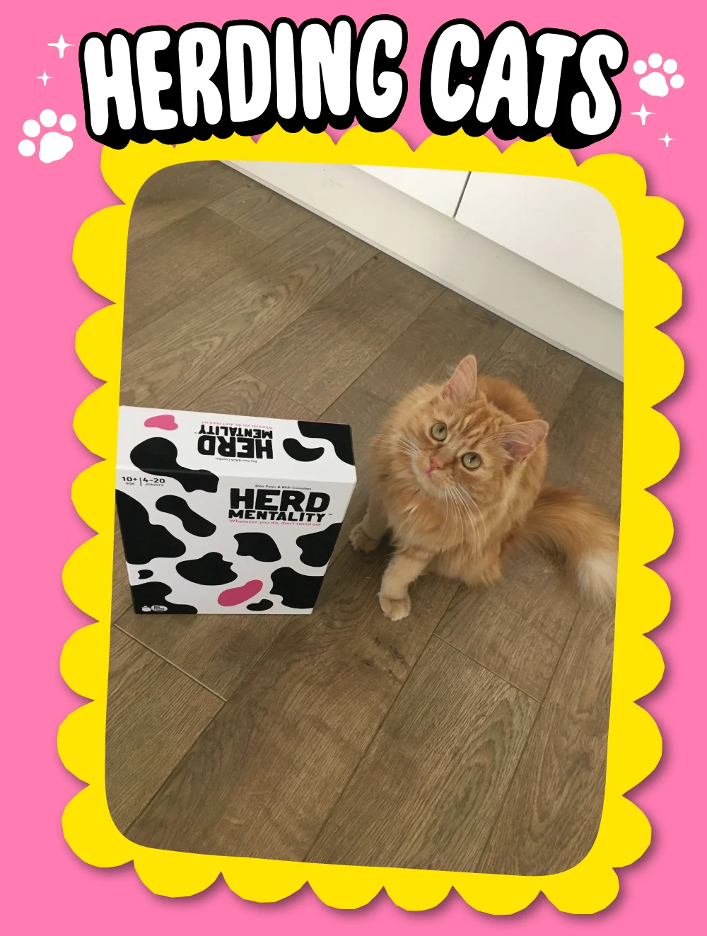 Herding Cats