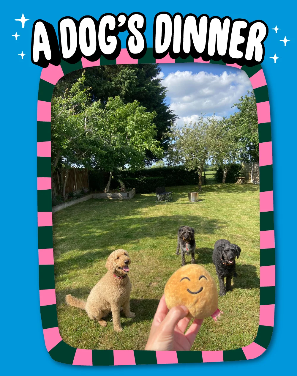 A Dogs Dinner