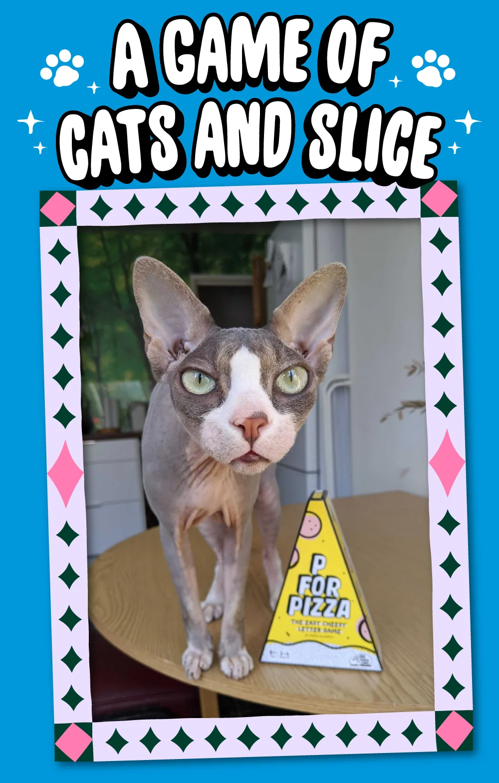A Game of Cat and Slice