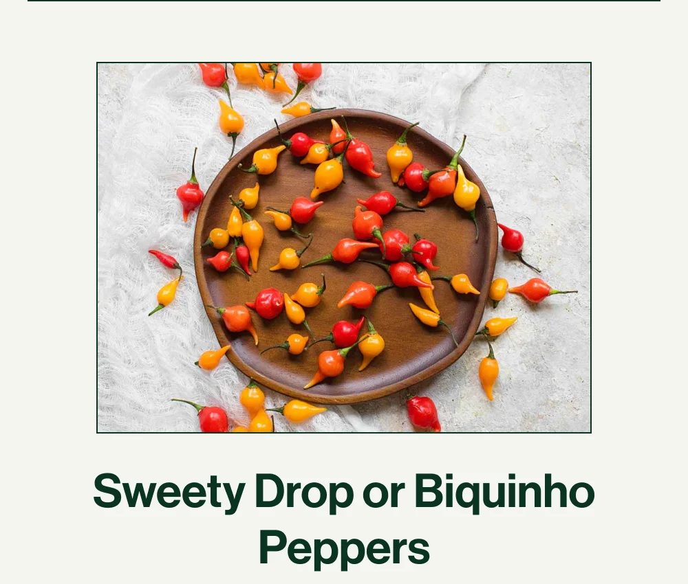 Sweety Drop or Biquinho Peppers