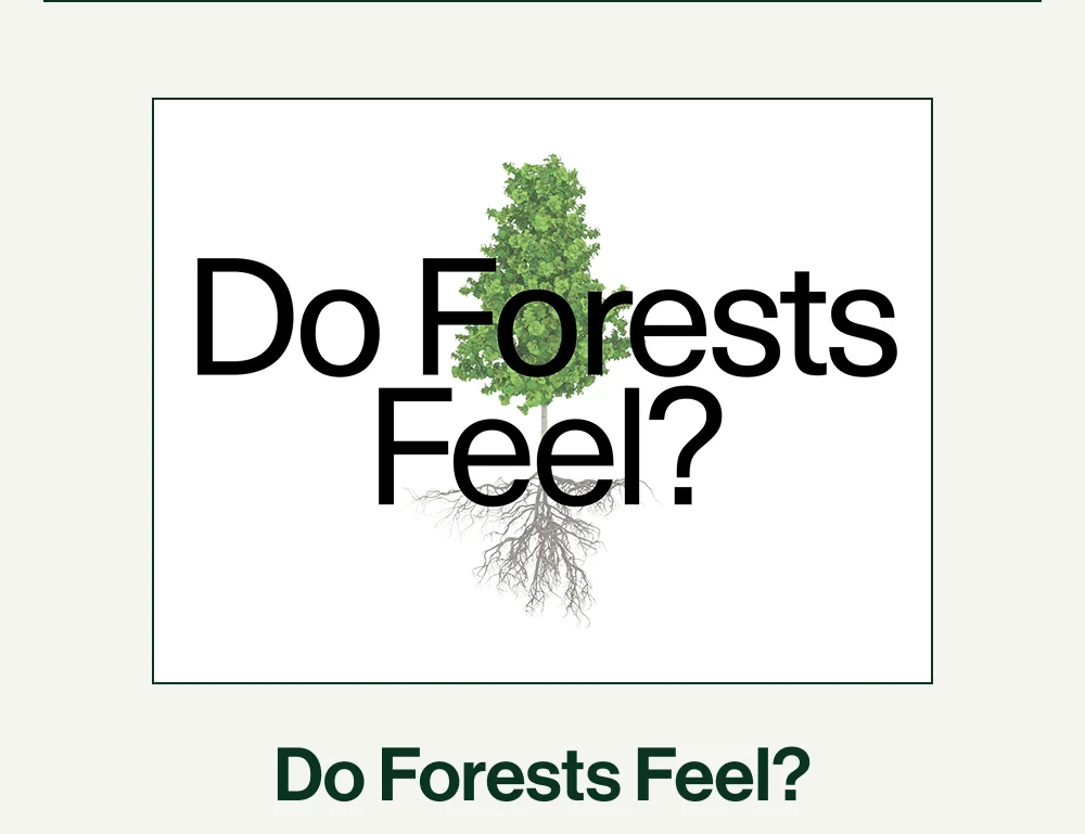 Do Forests Feel?