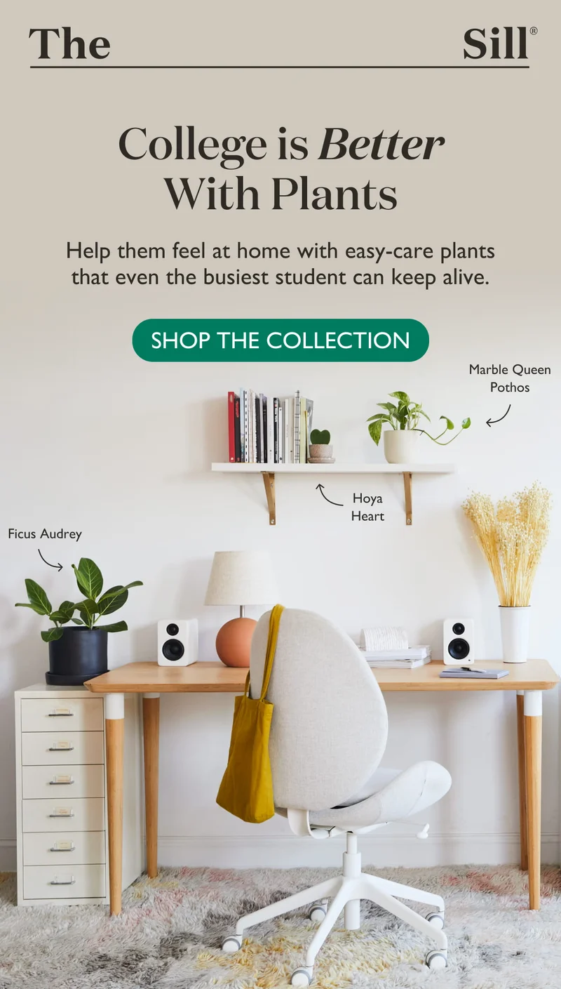 Shop Our Back-To-School Collection