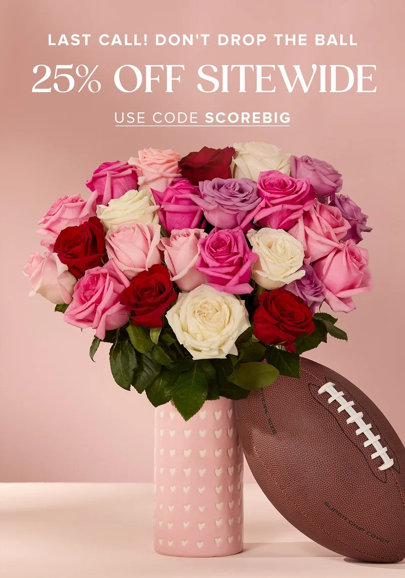 Last Call! Don't Drop the ball. 25% off sitewide with code SCOREBIG.