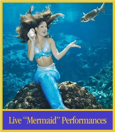 live mermaids show