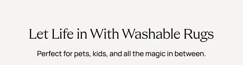 Let Life in With Washable Rugs