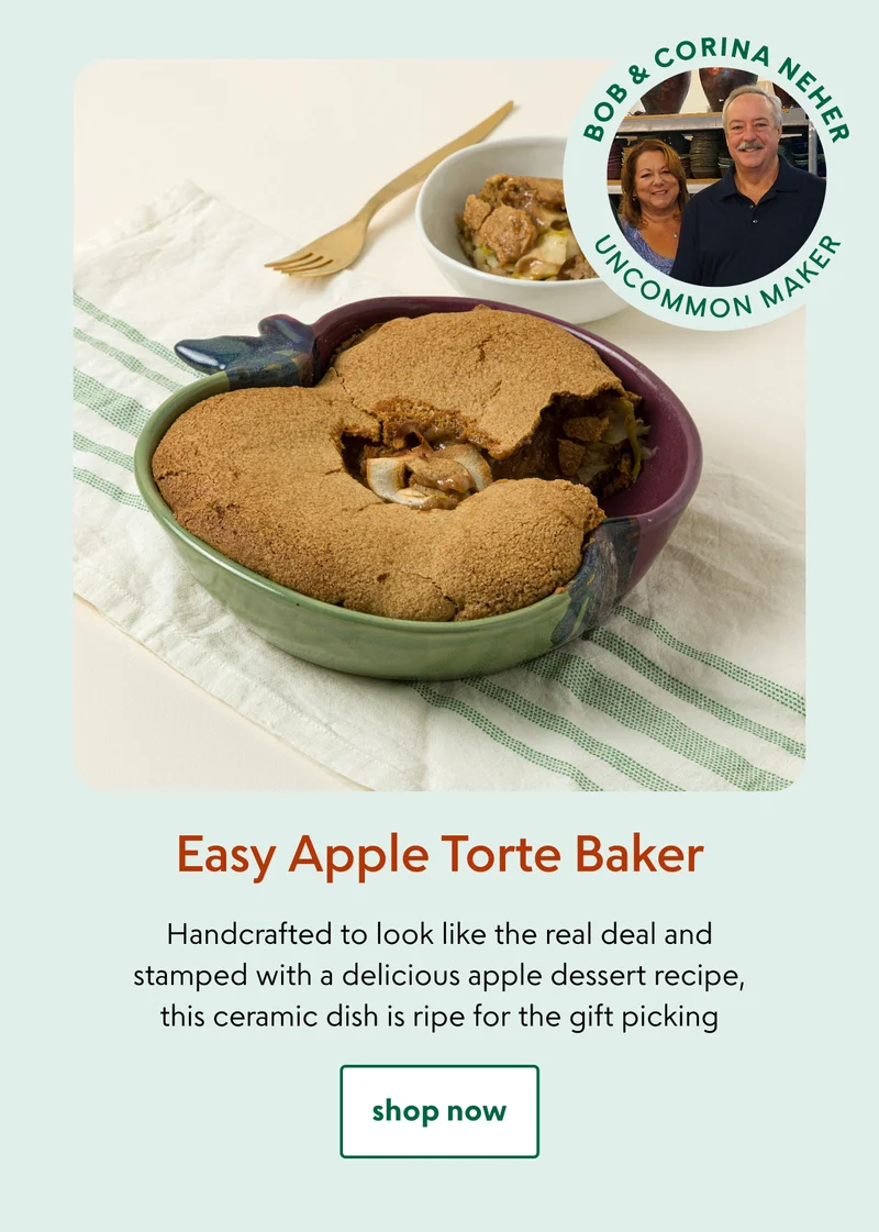 Easy Apple Torte Baker