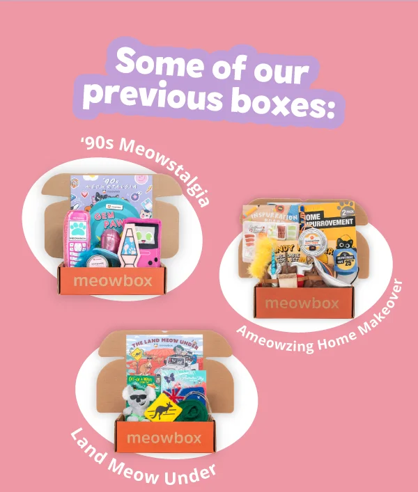 Some of our previous boxes: 90's Meowstalgia (featuring toys like the Meowkia Cell Phone, Gem Pawp Ring, Lavapurr Lamp cat toys and more), Ameowzing Home Makeover (featuring toys like the Home Impurrovement 2-pack, Inspurration Board Moodboard, Handy Helpurr Multipack Wearable Belt Toy and more) and Land Meow Under (featuring toys like the Cat-ch a Wave, Meowback Hat Wearable Hat, Purrceed with Caution Kangaroo Crossing toys and more)