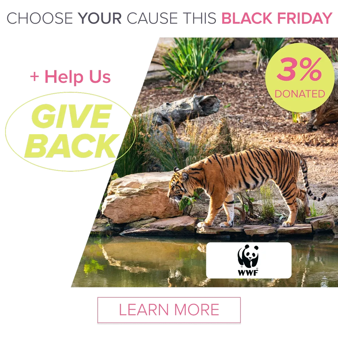 Choose your cause