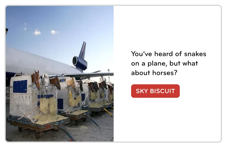 sky biscuit
