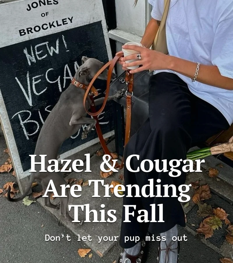 Hazel & Cougar Are Trending This Fall