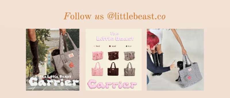 Follow us on Instagram