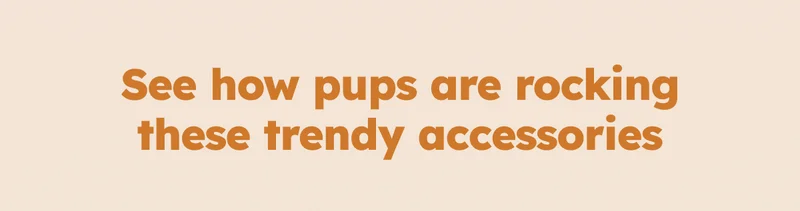 See how pups are rocking these trendy accessories