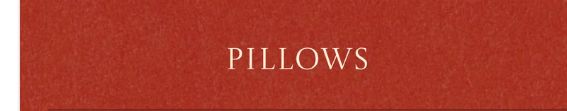 Shop Pillows