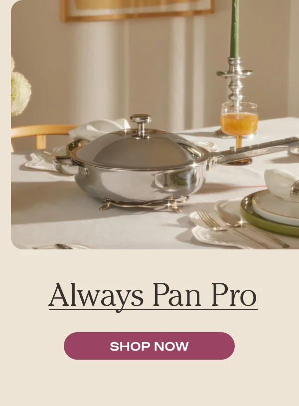 Always Pan Pro