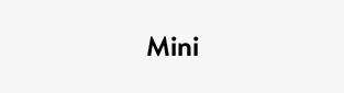 Mini
