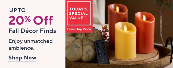 fall decor 20% off