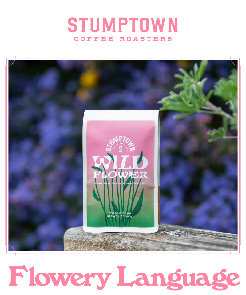 Stumptown Coffee Roasters Wildflower whole bean coffee bag with a pink-to-green gradient and illustrated flowers, placed outdoors on a wooden surface with soft purple foliage in the background, with the headline “Flowery Language” below.