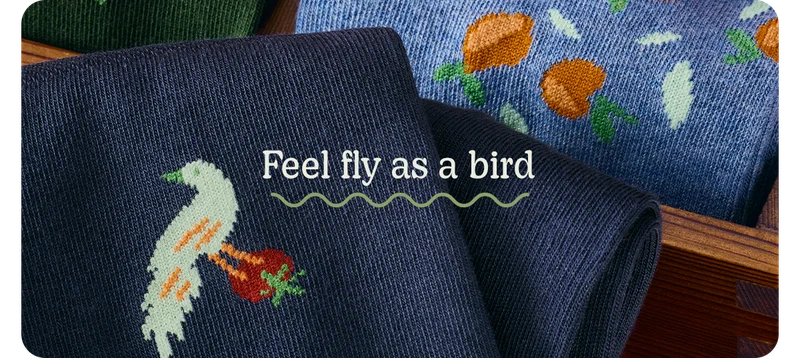 Feel fly as a bird