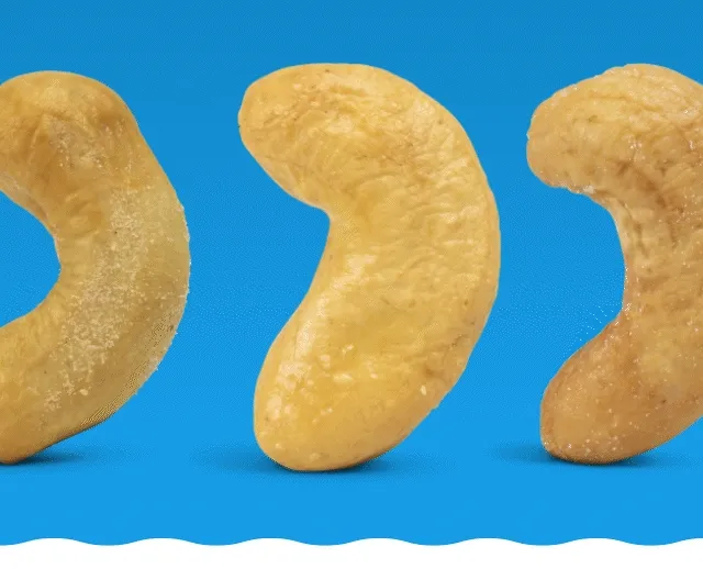 Cashew GIPHY