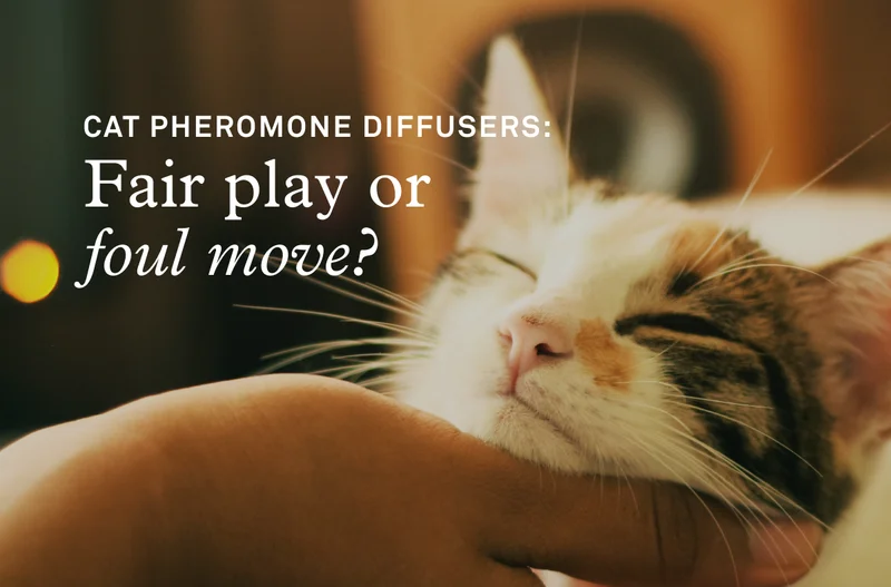 Cat pheromone diffusers