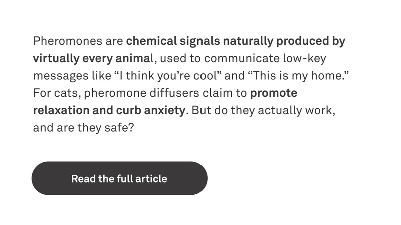 Read the full article