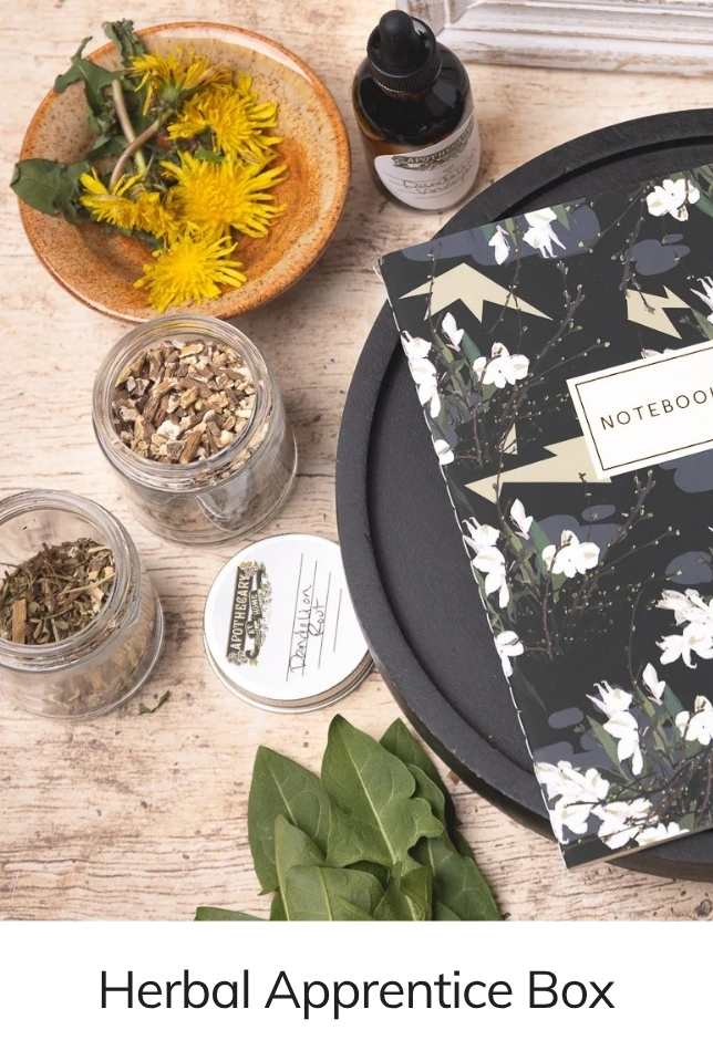 Herbal Apprentice Box