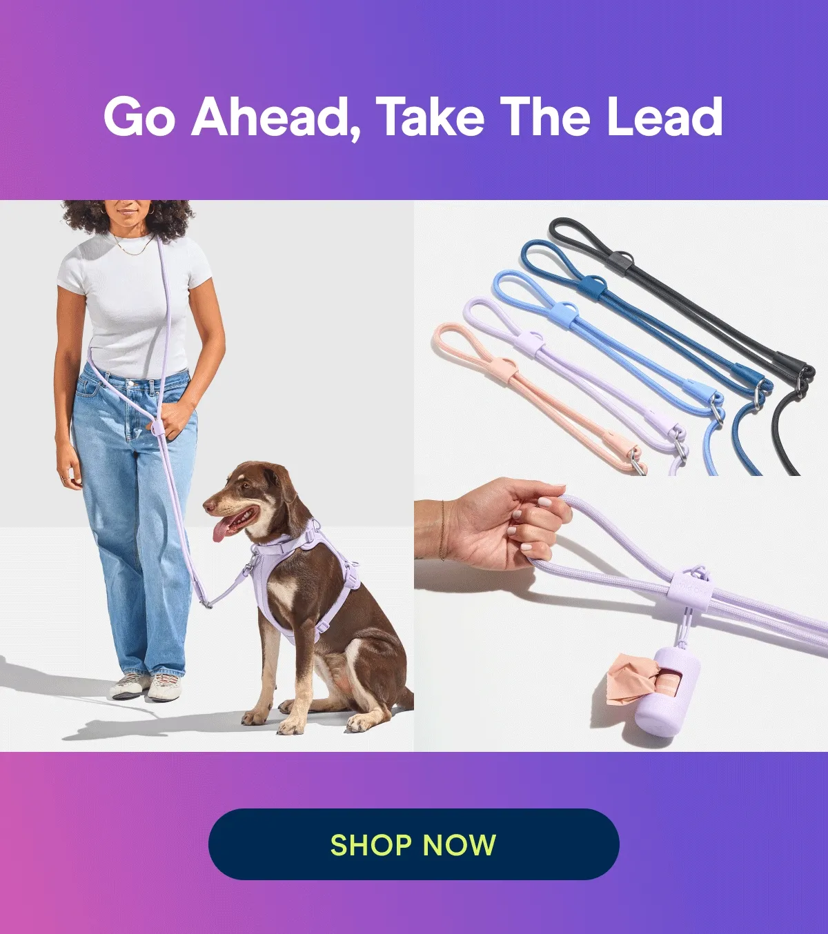Go Ahead, Take The Lead. Dog wearing harness with rope leash, rope leash in different colors, rope leash with poop bag carrier