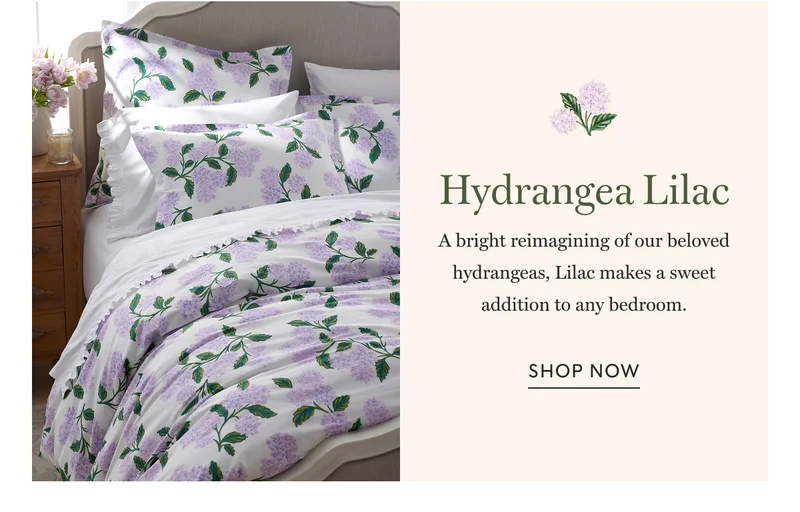 Hydrangea Lilac