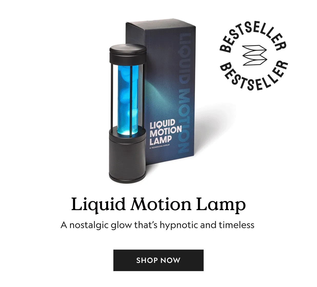 Liquid Motion Lamp