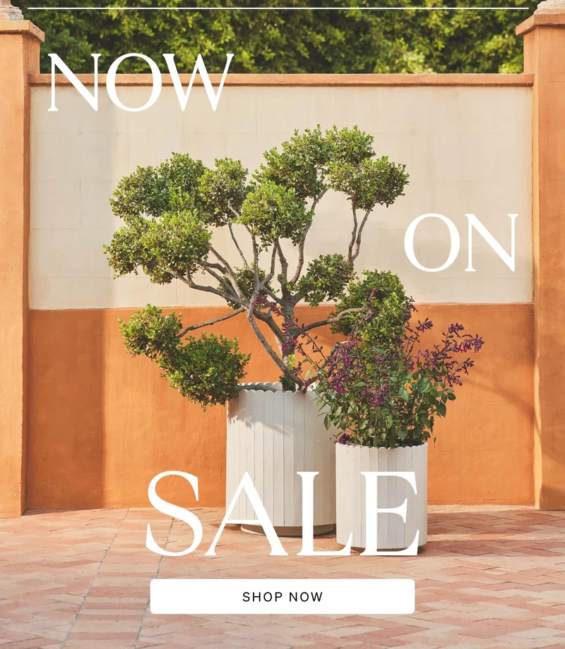Shop Sale