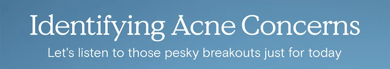 Identifying Acne Concerns - Let's listen to those pesky breakouts just for today