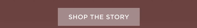 Shop the Story