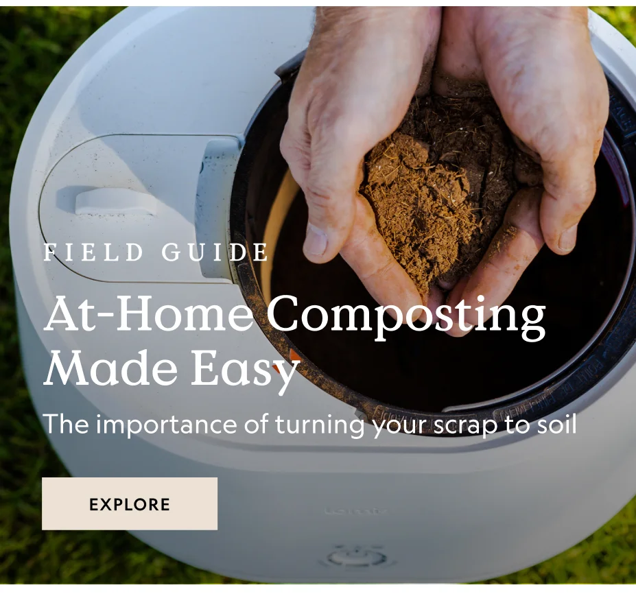At-home Composting Made Easy