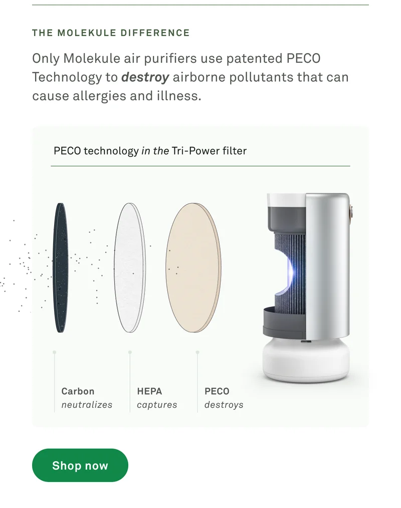Only Molekule air purifiers use patented PECO Technology to destroy airborne pollutants that can cause allergies and illness