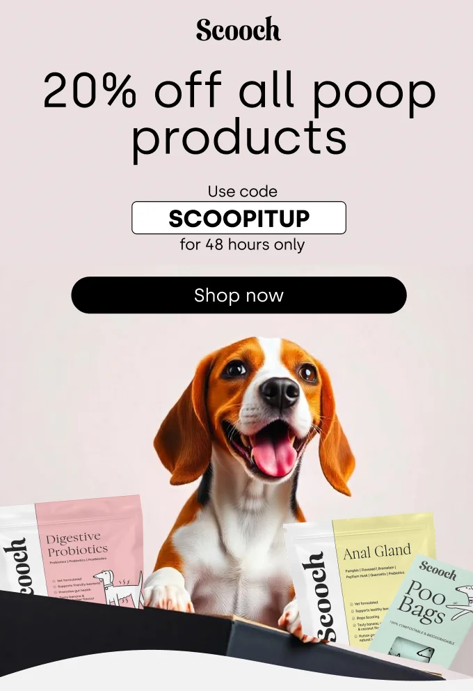 We set the bar for quality and will keep raising it.