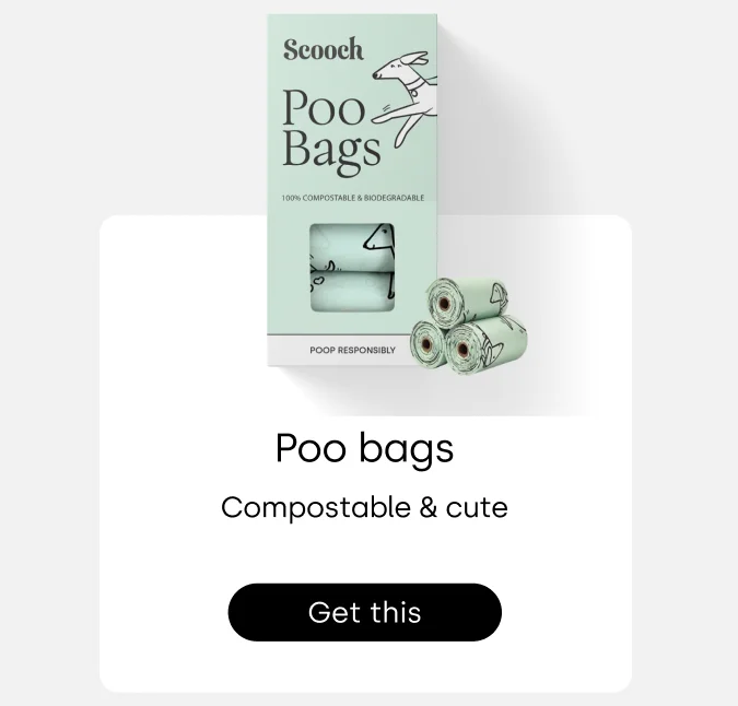 No pills, powders or gloopy oils in sight - Browse Scooch