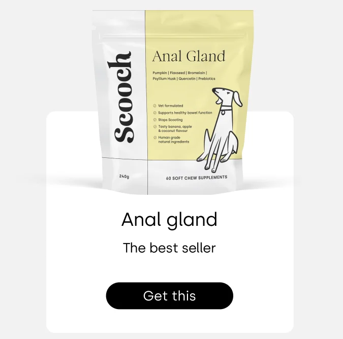 No pills, powders or gloopy oils in sight - Browse Scooch