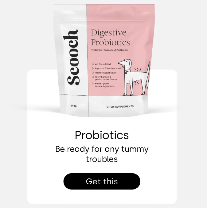 No pills, powders or gloopy oils in sight - Browse Scooch