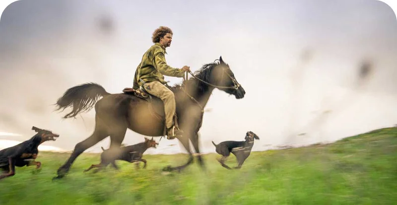 A person riding a horse through a field with dogs.